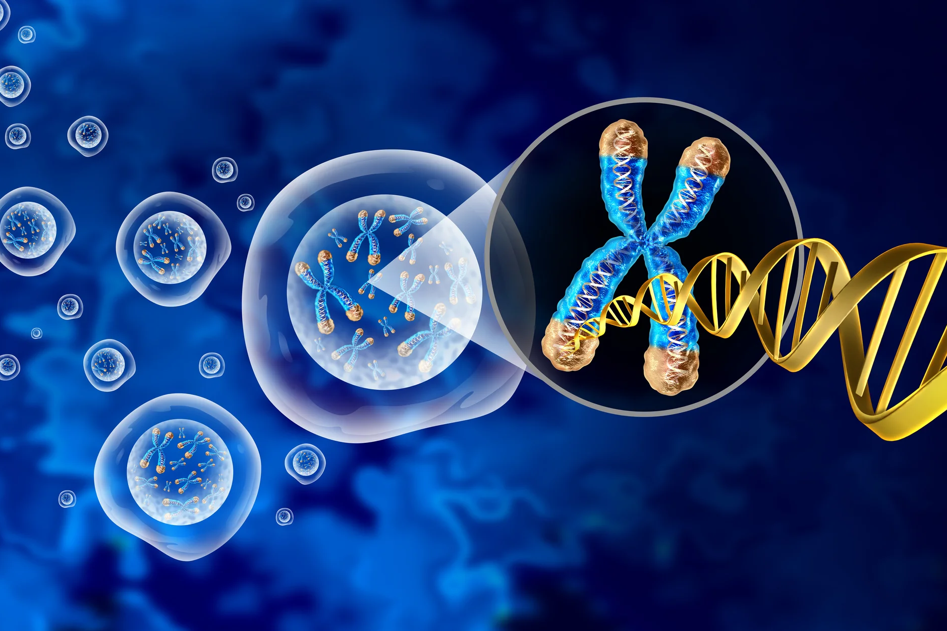 Genetische und epigenetische Beratung Permedio